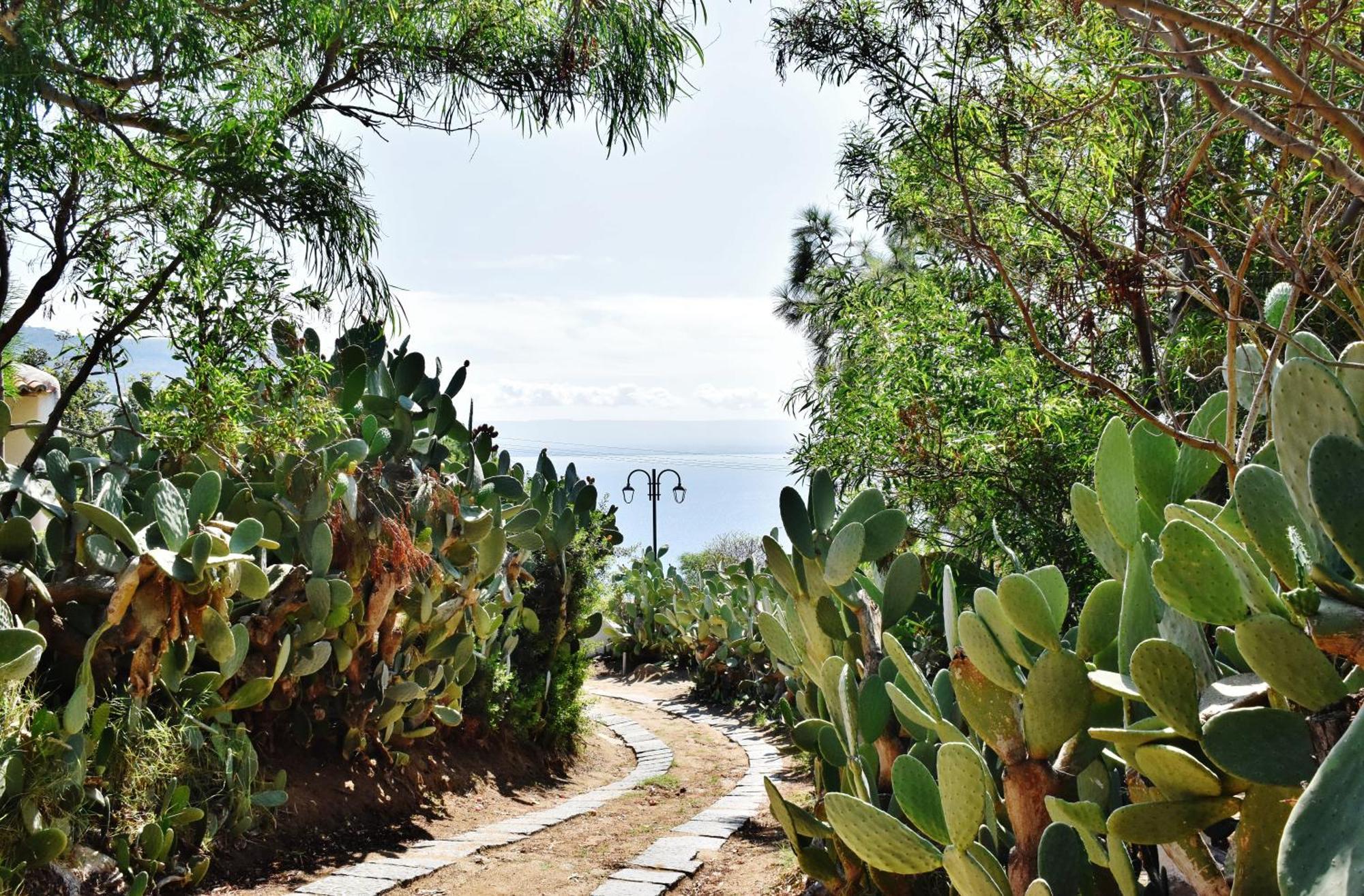 Calabria Beach Villa'S Capo Vaticano Exterior photo